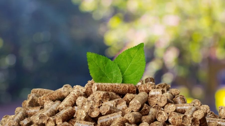 Incentivi per impianti a biomassa Regione Umbria